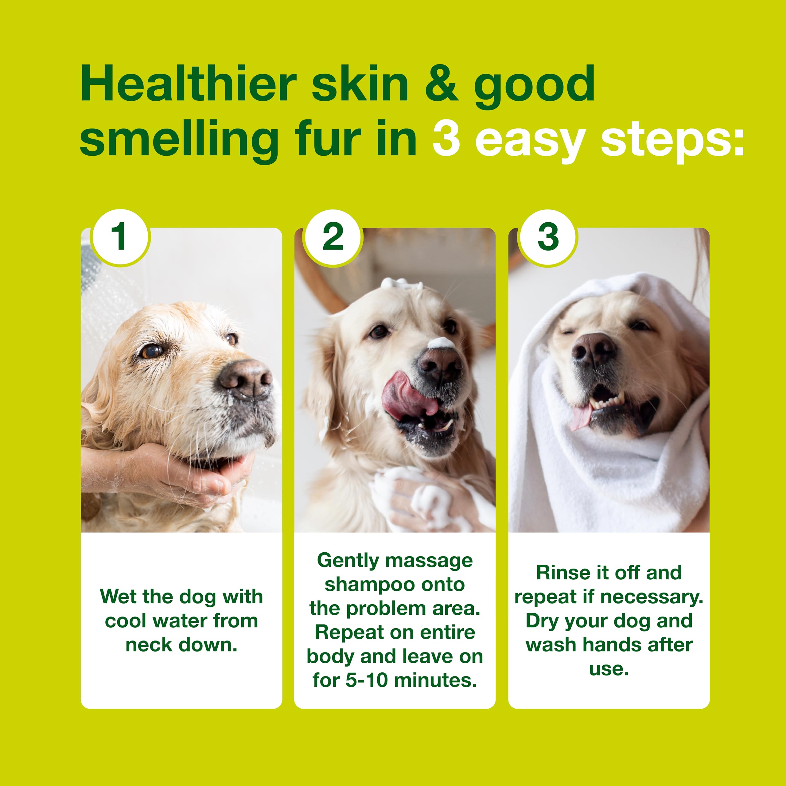 Dog during wash with Douxo S3 Seb Shampoo for sebum balance