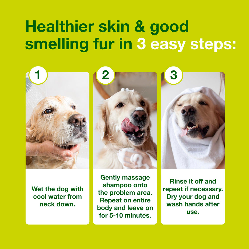 Dog during wash with Douxo S3 Seb Shampoo for sebum balance