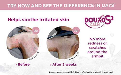 Pet owner applying mousse on dog's irritated area with soothing texture.