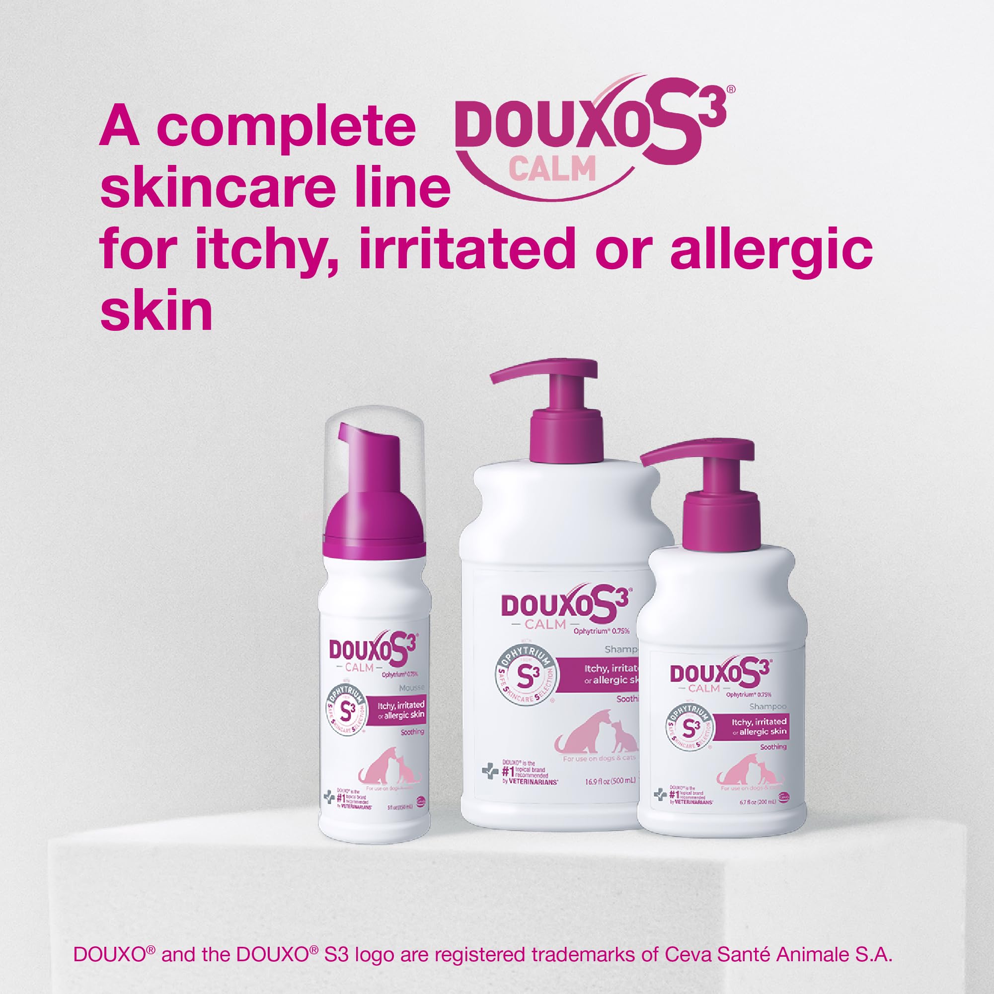 Douxo S3 Calm Mousse on a cat’s fur, delivering a pleasant scent.