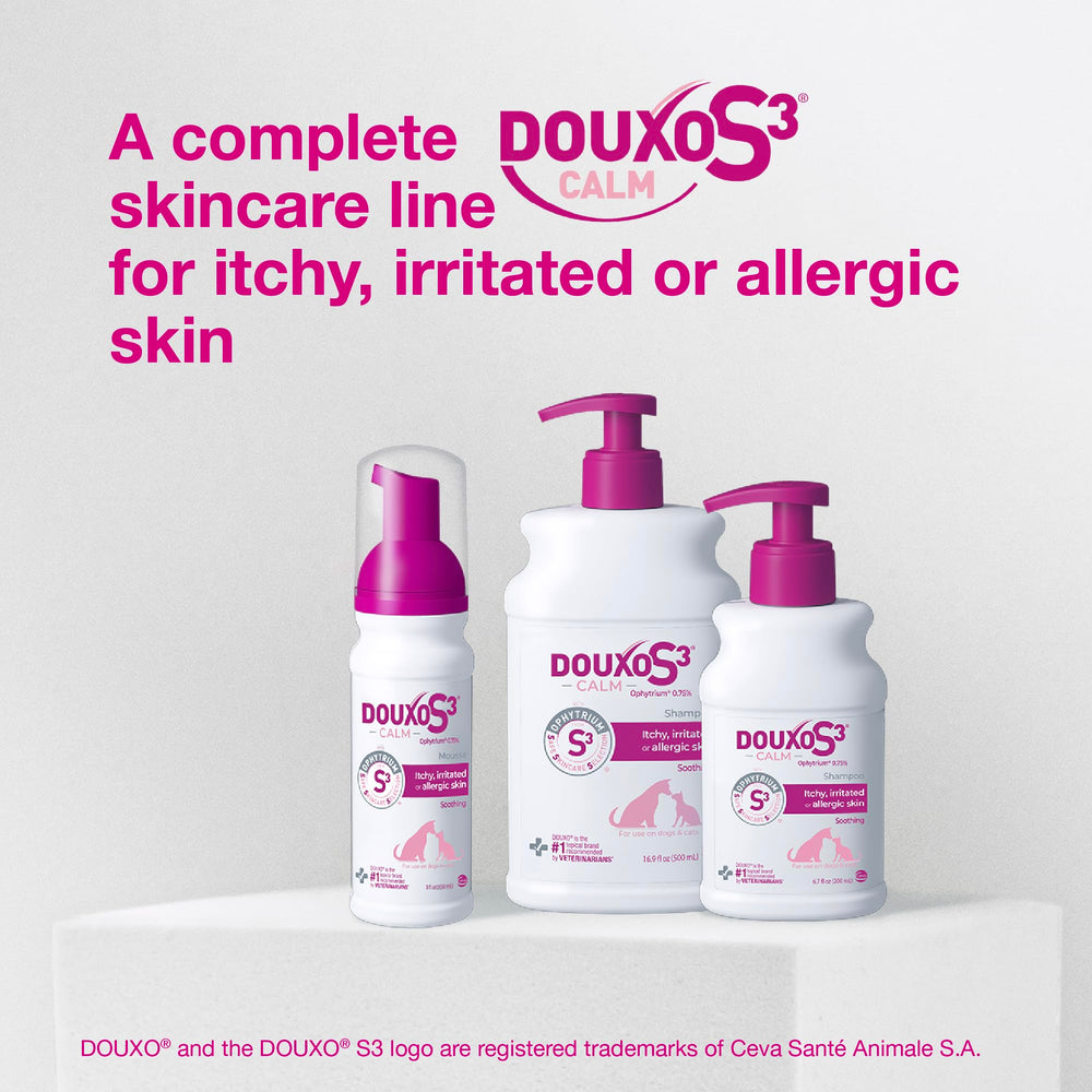 Douxo S3 Calm Mousse on a cat’s fur, delivering a pleasant scent.