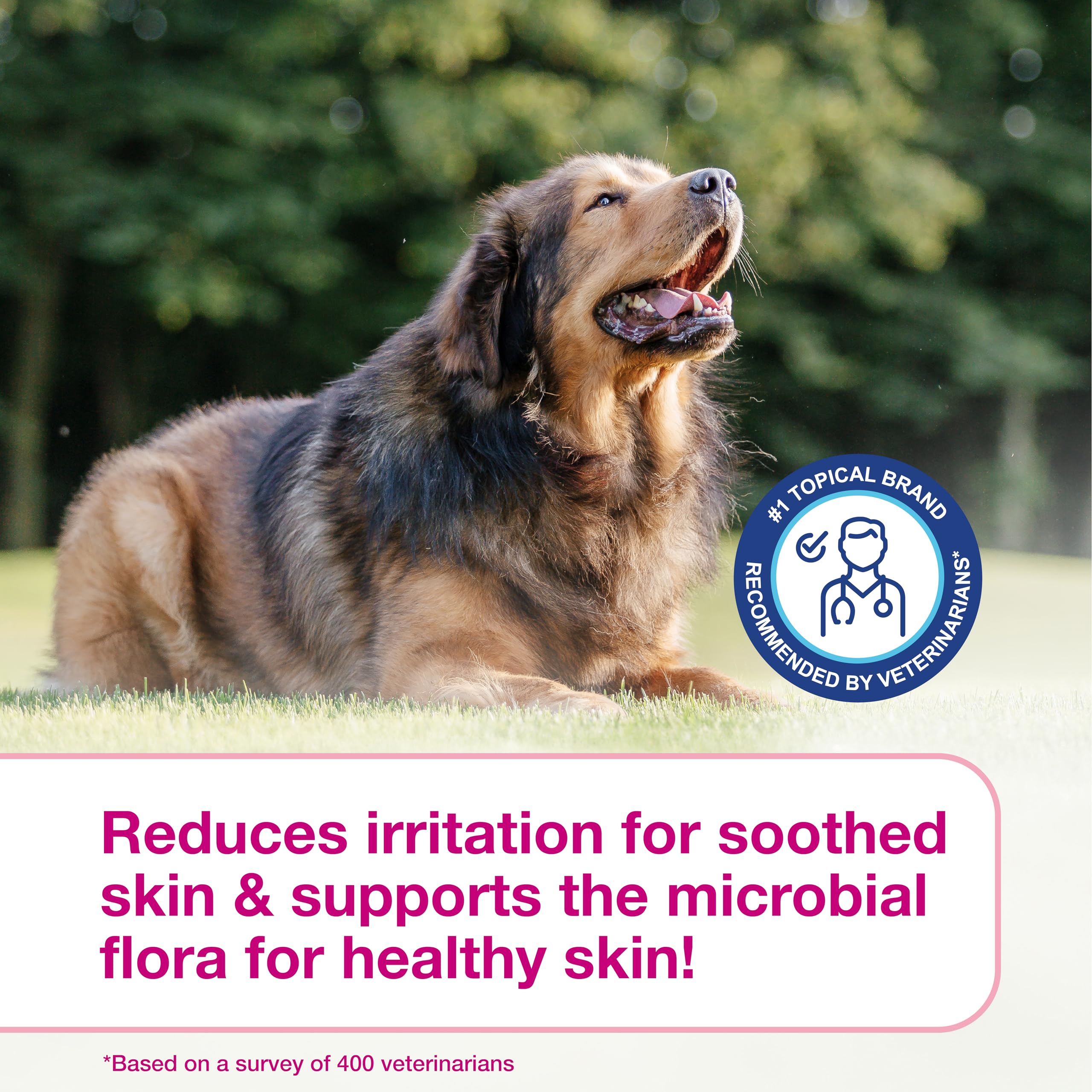 Douxo S3 Calm Mousse used in a dog grooming routine.