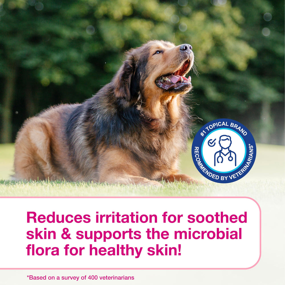 Douxo S3 Calm Mousse used in a dog grooming routine.