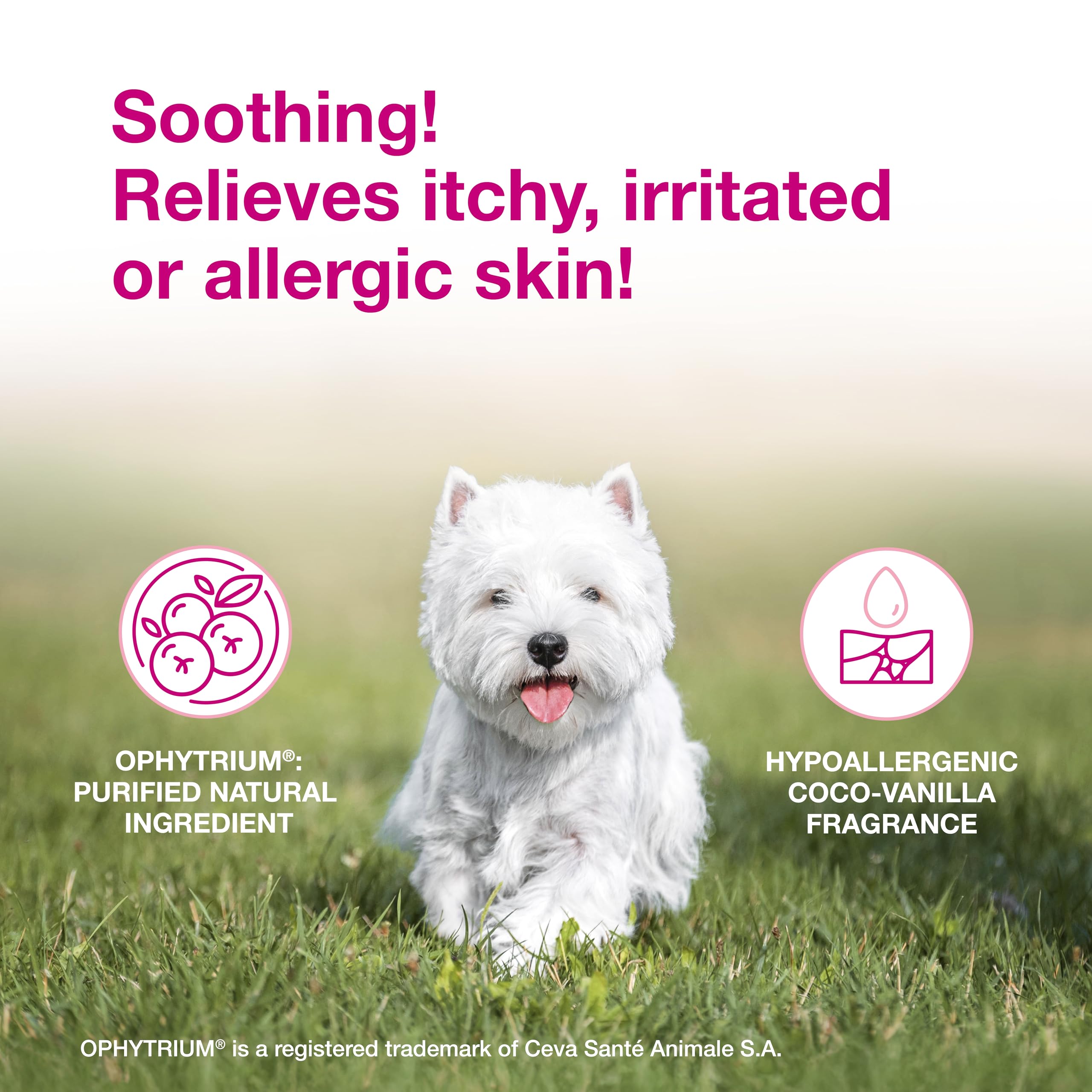 Douxo S3 Calm Shampoo foam lather for detangling fur.