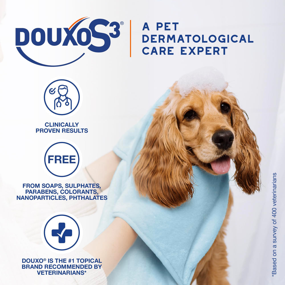 Douxo S3 Pyo Mousse applied to a dog in need of skin conditioning.