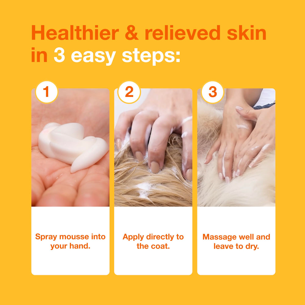 Douxo S3 Pyo Mousse soothing skin barrier support during care.