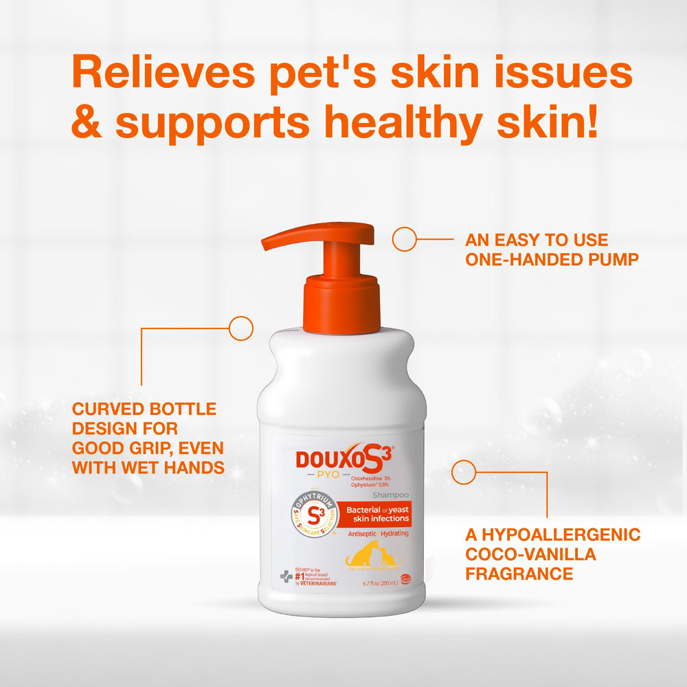 Douxo S3 Pyo Shampoo foamy lather during bath for clean coat
