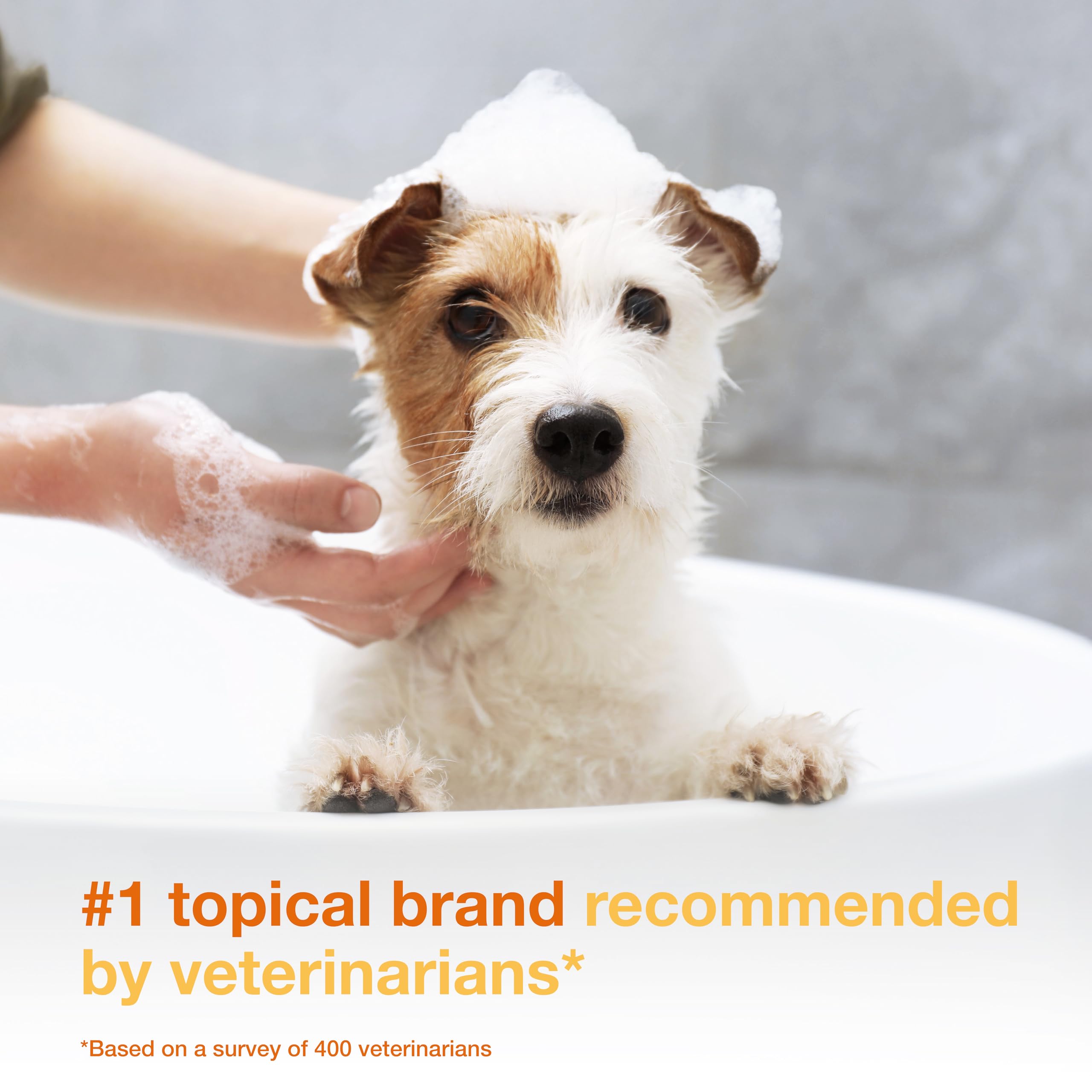Douxo S3 Pyo Shampoo ingredients card detailing 3% chlorhexidine and 0.5% ophytrium