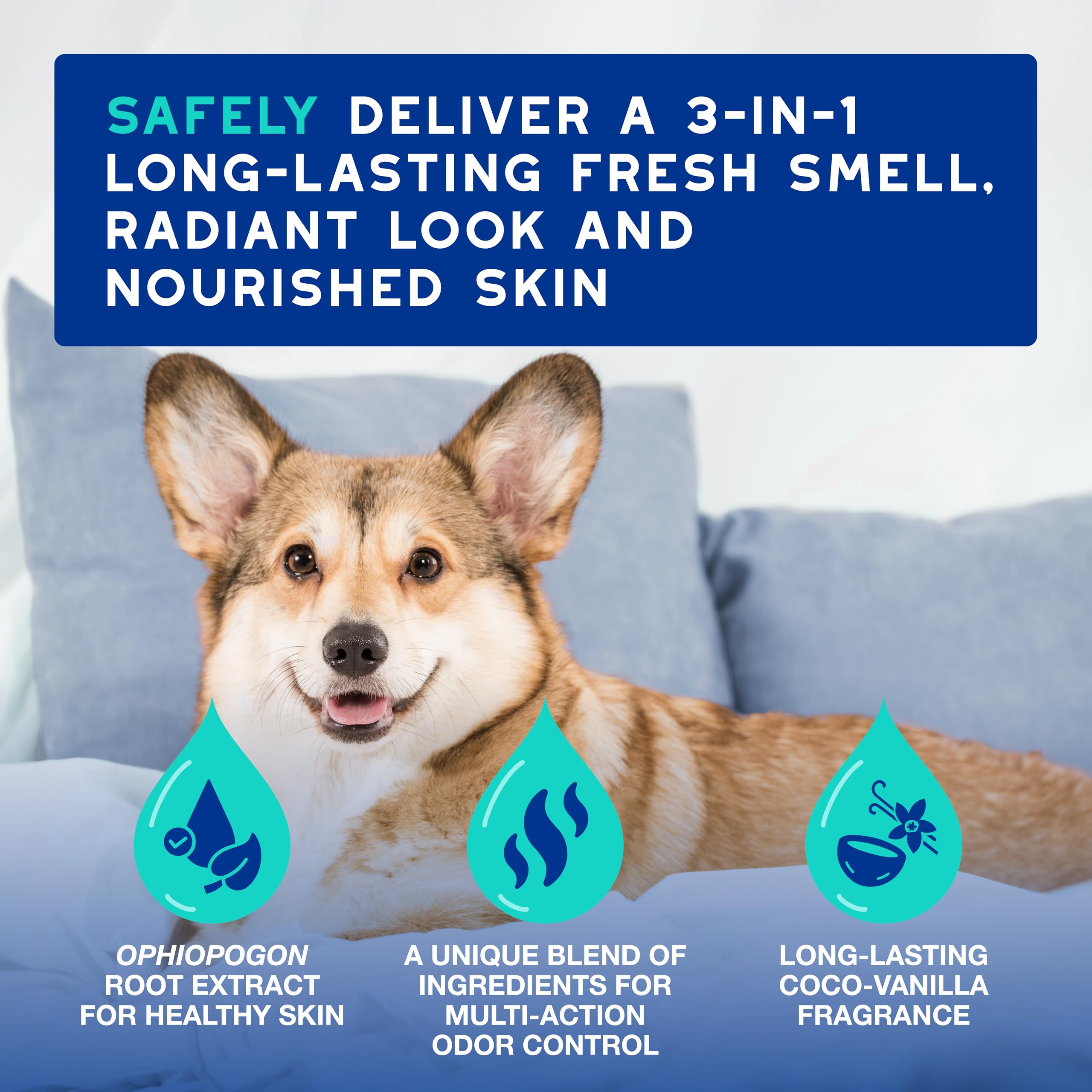 DOUXO spray application shows easy odor neutralization after grooming.