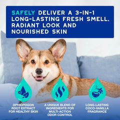 DOUXO spray application shows easy odor neutralization after grooming.