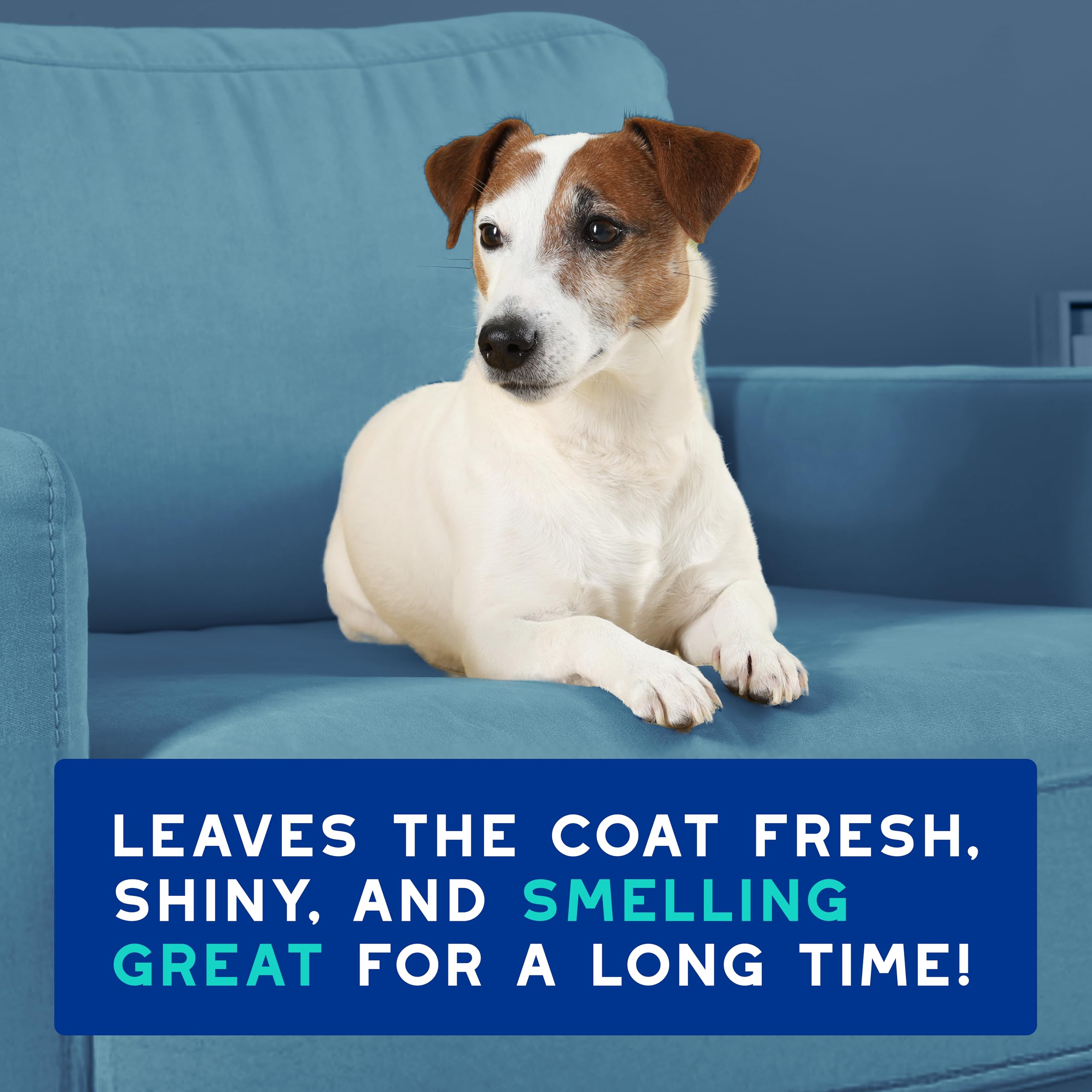 DOUXO Skin & Coat SPA portrayed as vet-recommended care option.