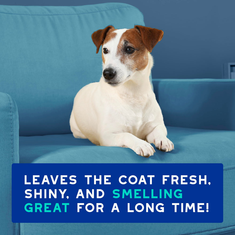 DOUXO Skin & Coat SPA portrayed as vet-recommended care option.