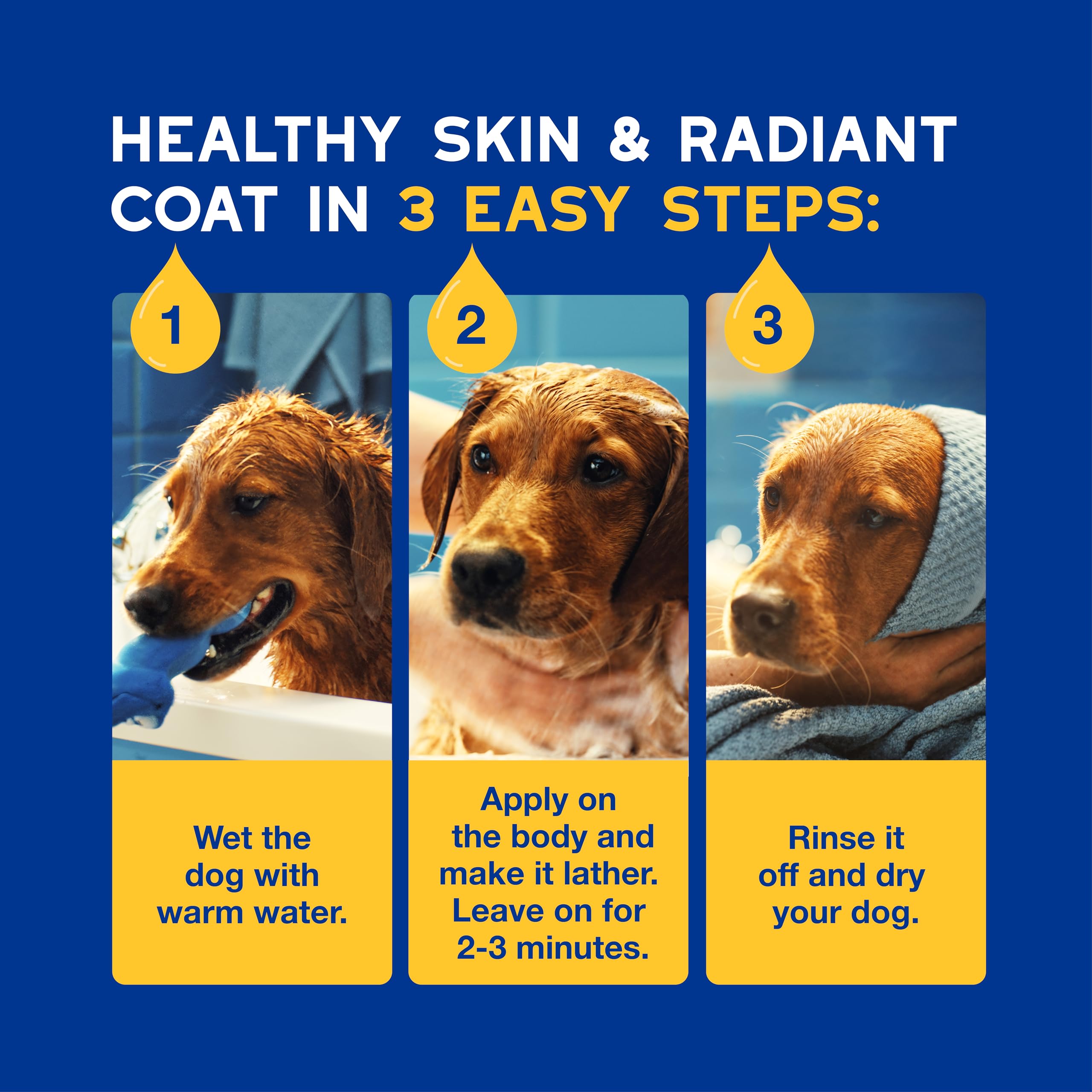 Douxo routine pairing with conditioner and wipes offers complete grooming.