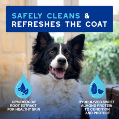 DOUXO mousse application on pet coat delivers gentle conditioning.