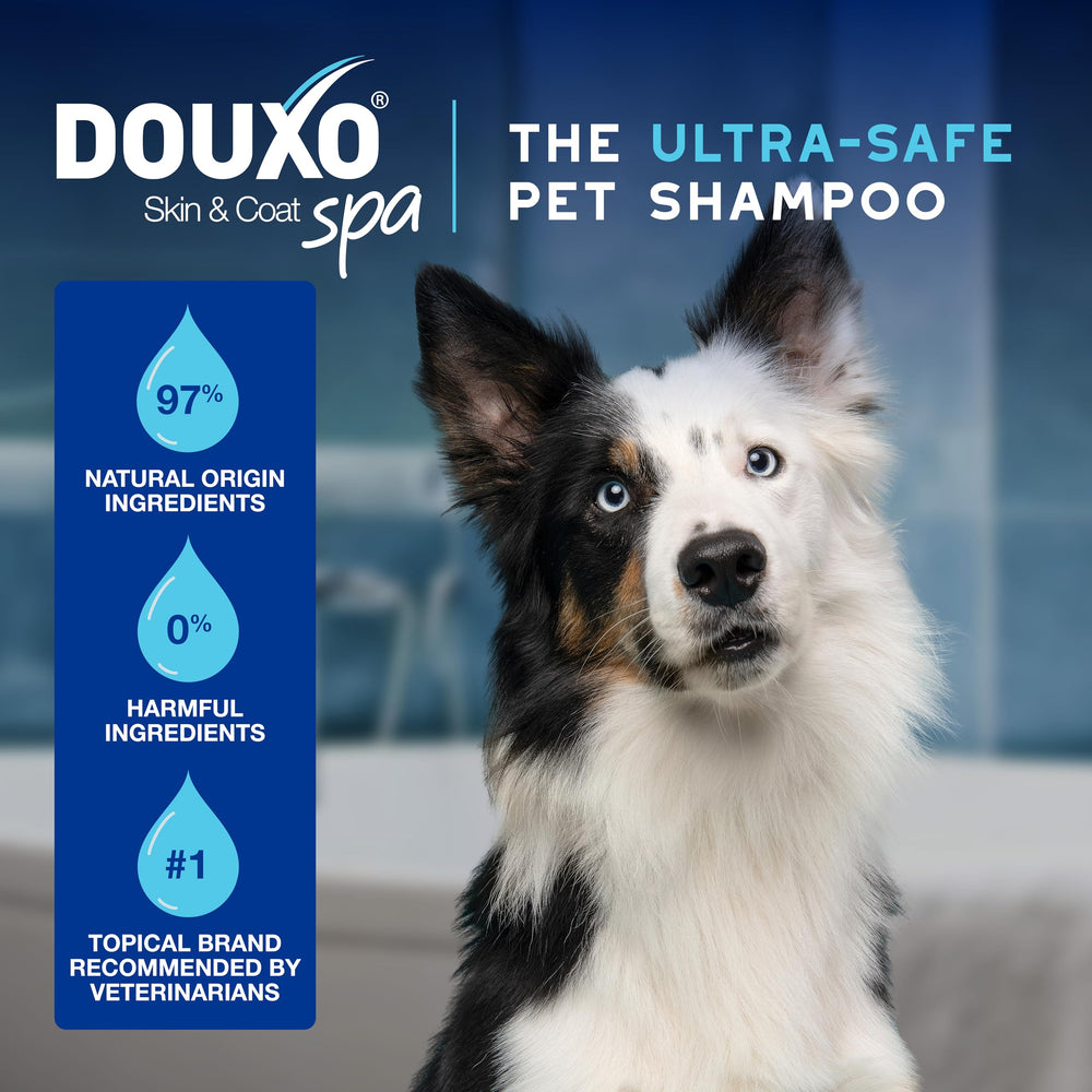 DOUXO Skin & Coat SPA Quick Refresh mousse no-rinse formula for safe cleaning.