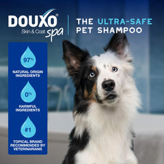 DOUXO Skin & Coat SPA Quick Refresh mousse no-rinse formula for safe cleaning.