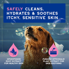 DOUXO Skin & Coat SPA shampoo lather illustrating gentle cleansing performance