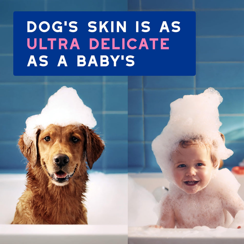 DOUXO Skin & Coat SPA shampoo leaves coat soft and radiant after bath