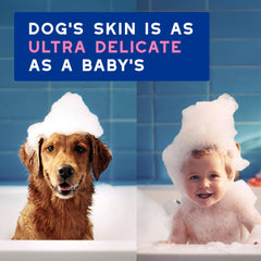 DOUXO Skin & Coat SPA shampoo leaves coat soft and radiant after bath