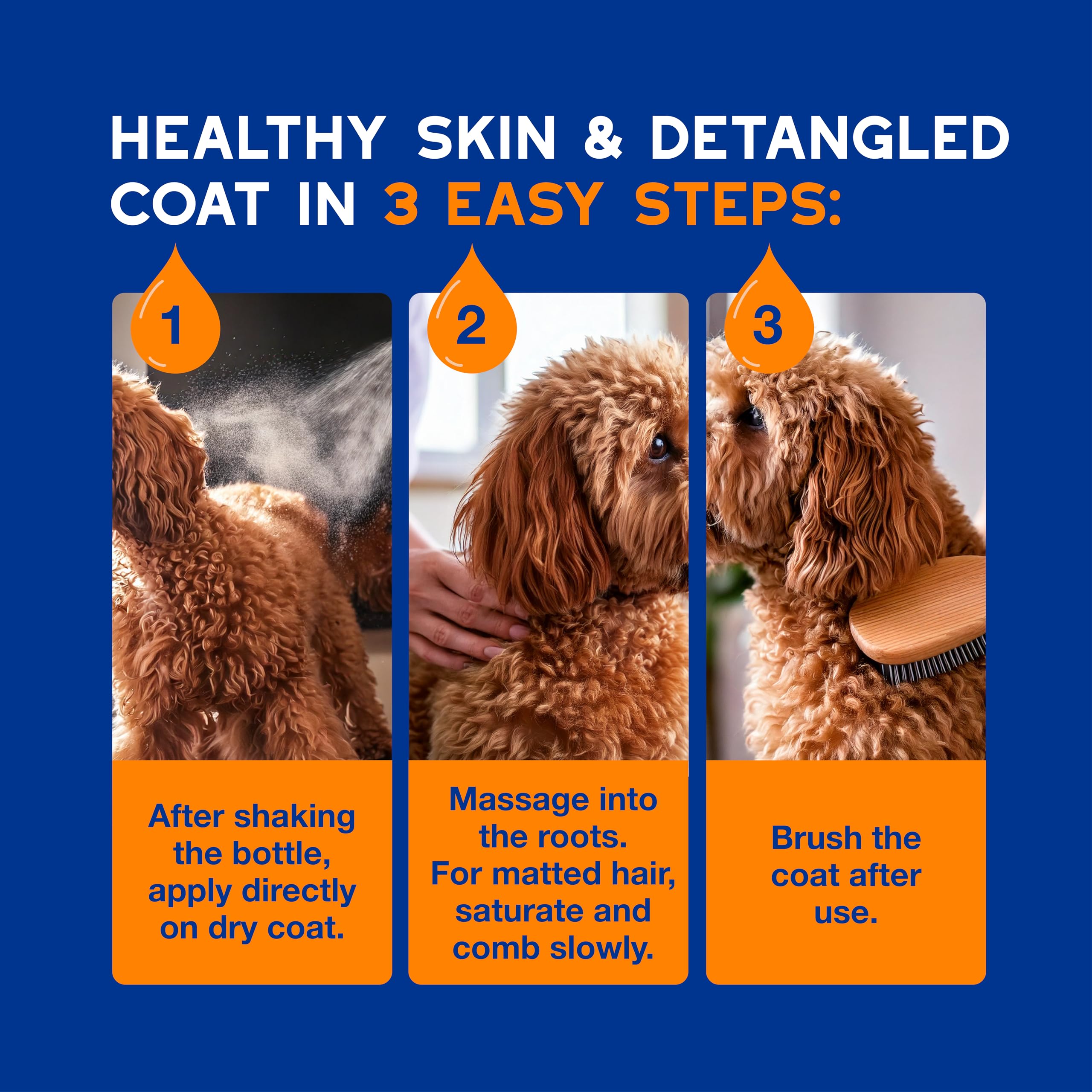 DOUXO Spa experience helps refresh coat texture and pleasant scent after grooming.