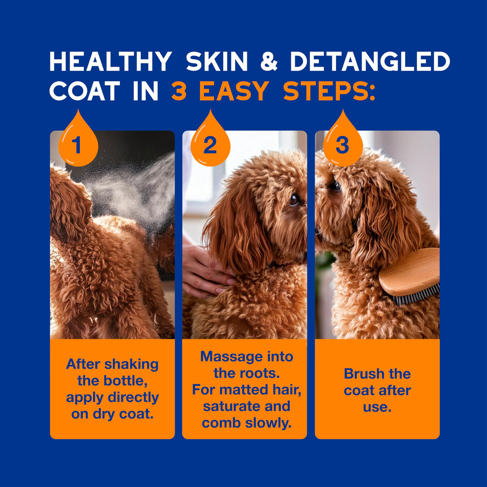 DOUXO Spa experience helps refresh coat texture and pleasant scent after grooming.