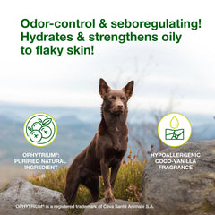 Foamy lather from Douxo S3 SEB Shampoo for pet coats in action