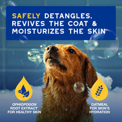 Applying DOUXO Skin and Coat SPA oatmeal conditioner pour demonstrates easy application and detangling