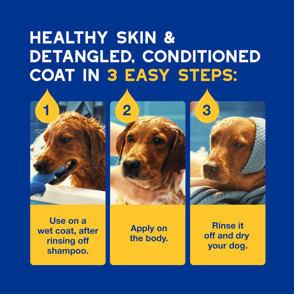 DOUXO Skin and Coat SPA shown as vet-recommended care