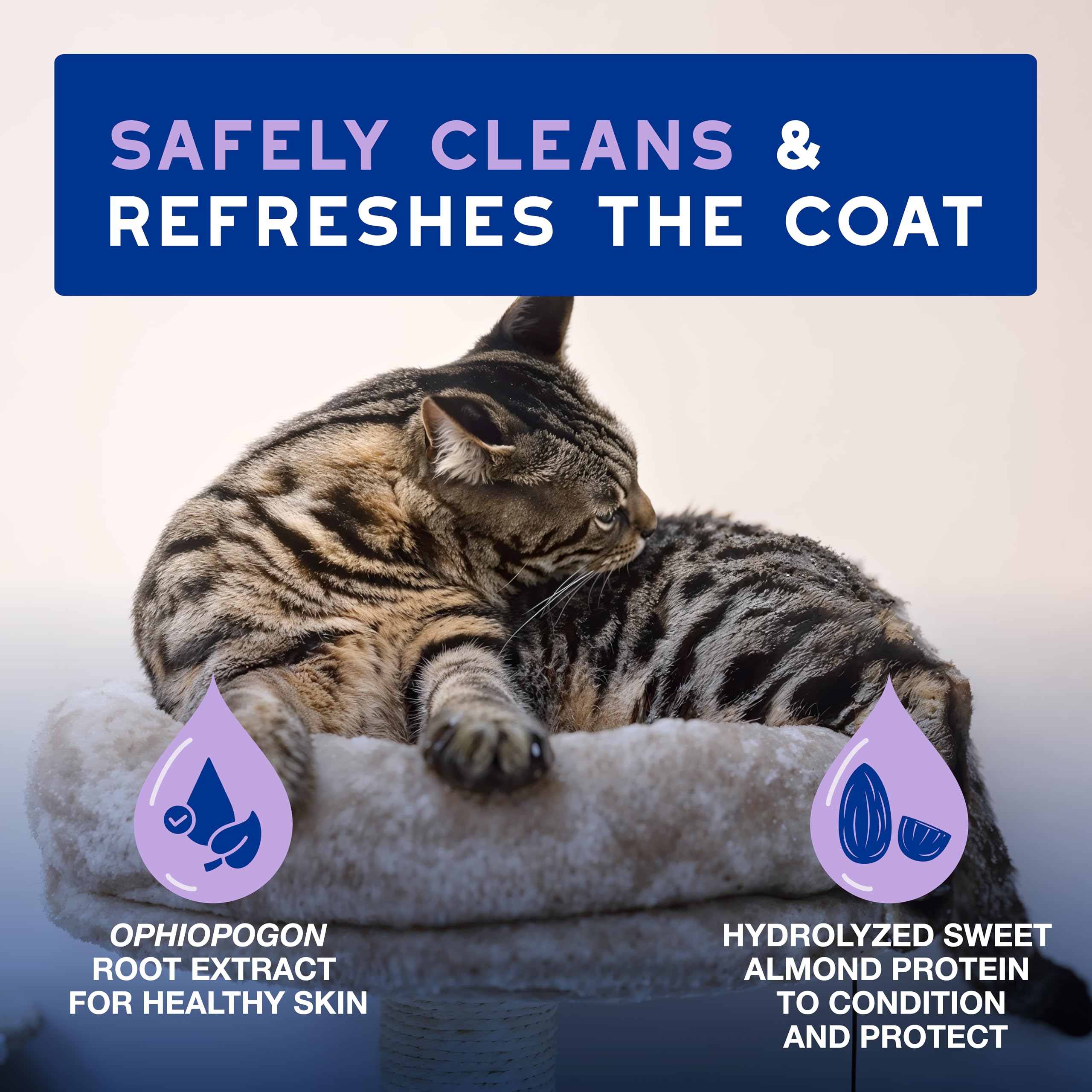 Application of DOuXO mousse to a cat’s fur for a low-stress grooming moment