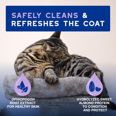 Application of DOuXO mousse to a cat’s fur for a low-stress grooming moment