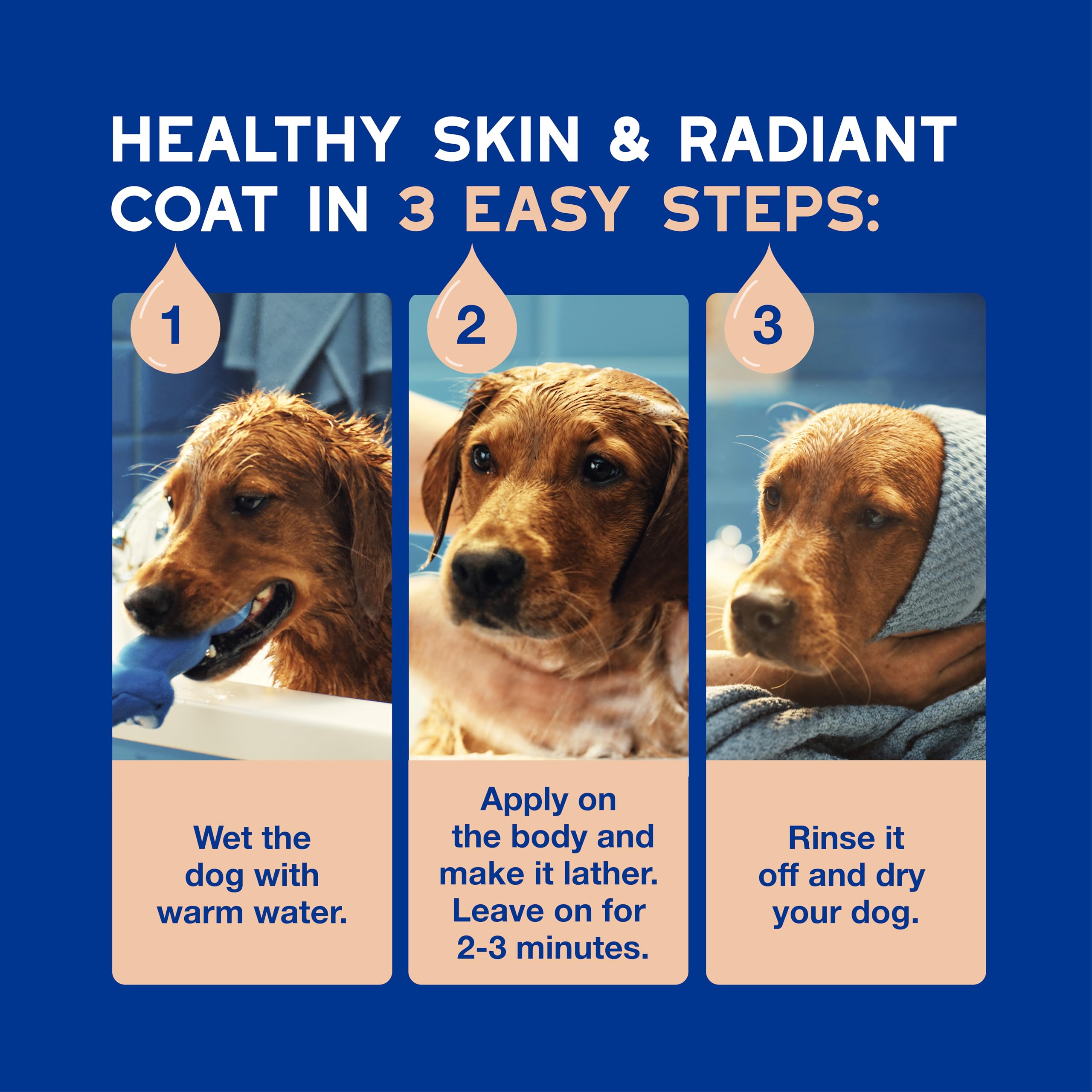 Pairing DOUXO Skin & Coat SPA with conditioner for complete skin and coat care.