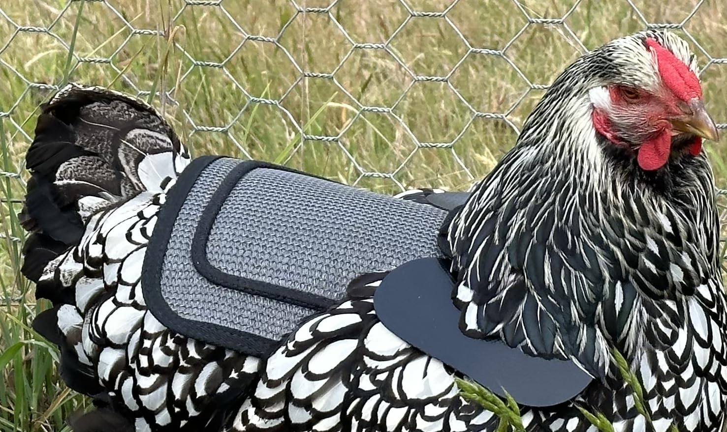 DOWN UNDER OUTDOORS compact 2-pack with shoulder cover aids gentle protection for multiple birds