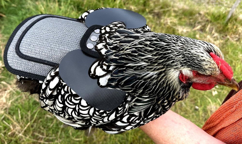 DOWN UNDER OUTDOORS feather-peck protection supports feather growth.