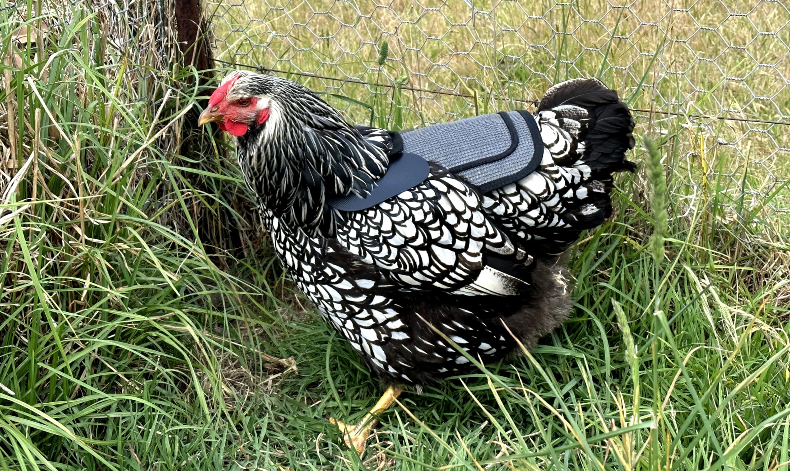 DOWN UNDER OUTDOORS feather protection feature supports feather regrowth without isolation
