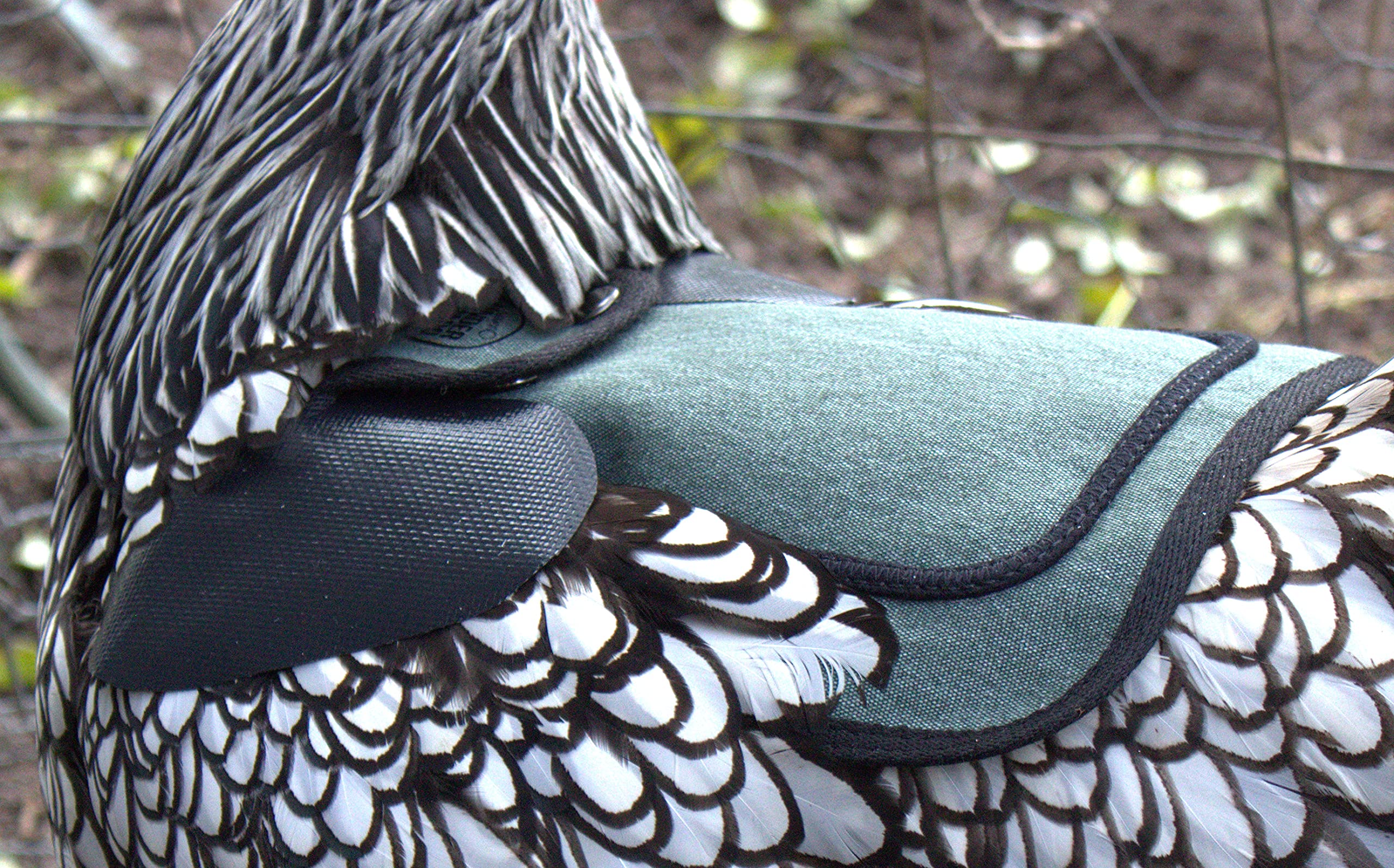 DOWN UNDER OUTDOORS teal bantam saddle promotes safe movement and roosting