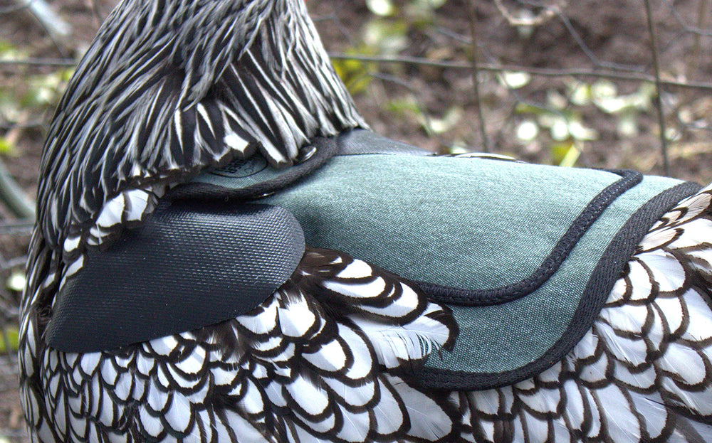 DOWN UNDER OUTDOORS teal bantam saddle promotes safe movement and roosting