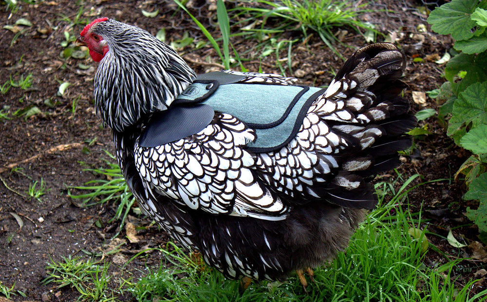 DOWN UNDER OUTDOORS feather-protection saddle supports feather growth and healing