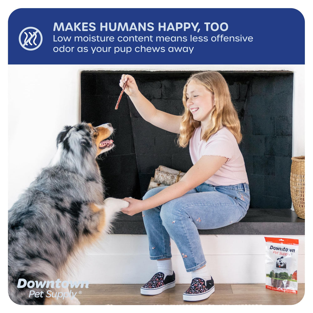 Downtown Pet Supply 12-pack bully sticks display for easy stocking