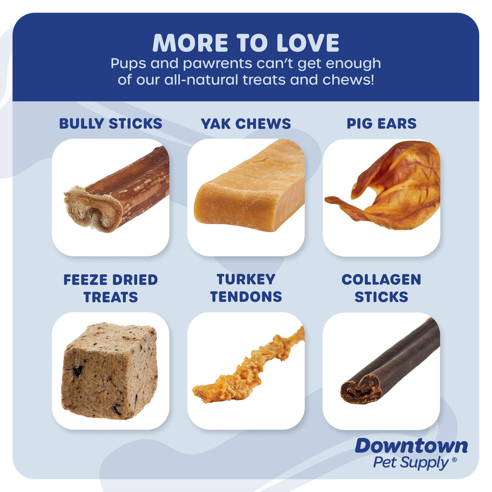 Downtown Pet Supply 5-pack packaging highlighting value and convenience.
