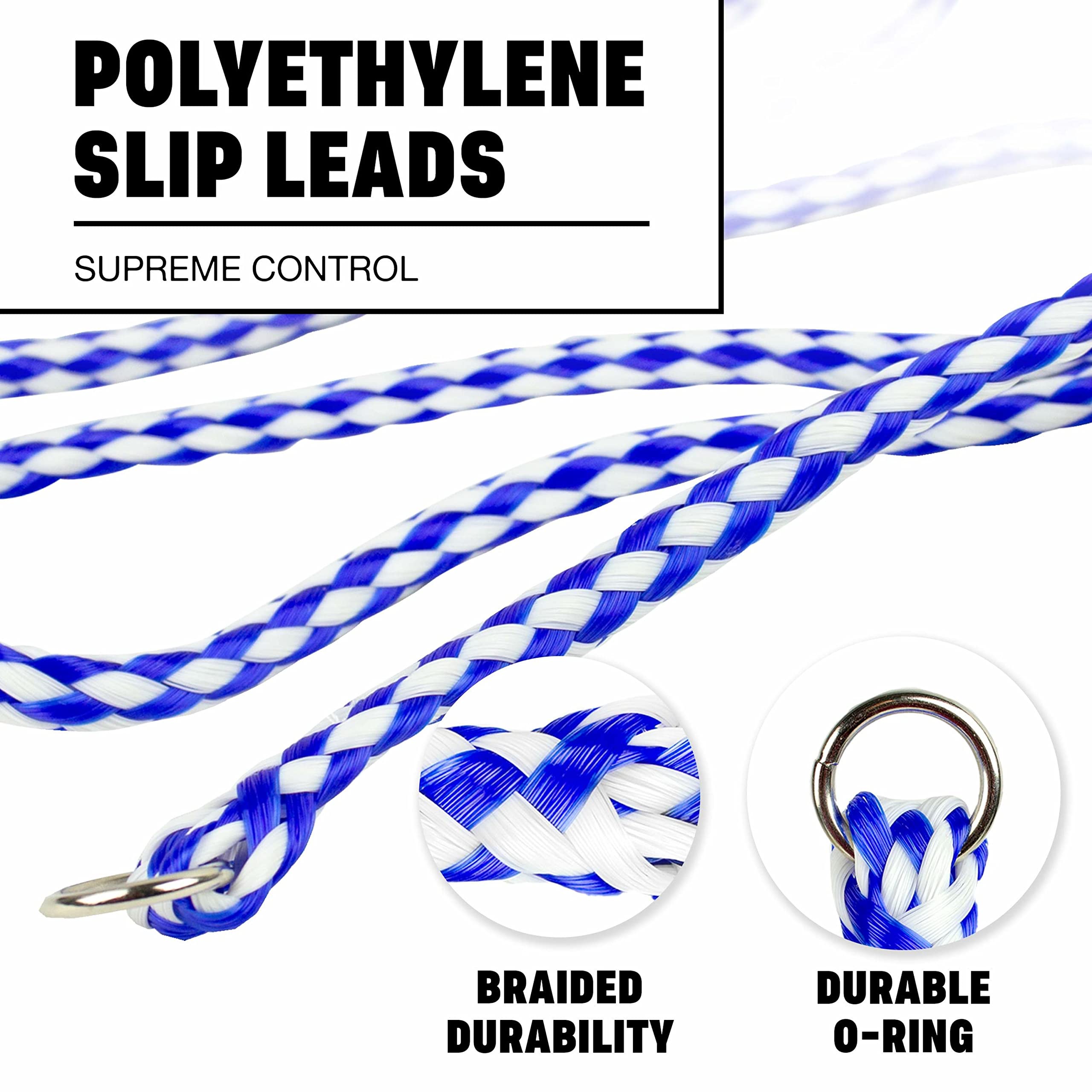 Downtown Pet Supply 6-pack slip leads laid out for easy selection.