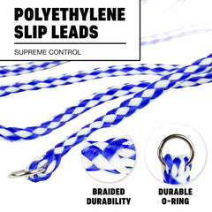 Downtown Pet Supply 6-pack slip leads laid out for easy selection.