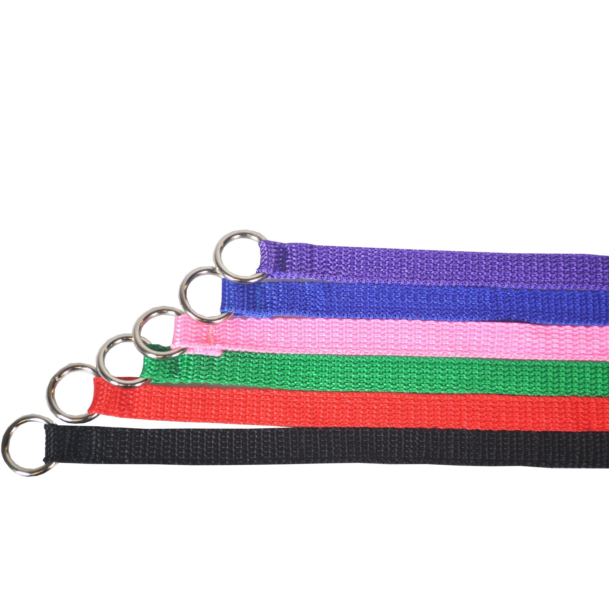 Downtown Pet Supply 120-pack leash bulk for busy vet clinics and daycares.