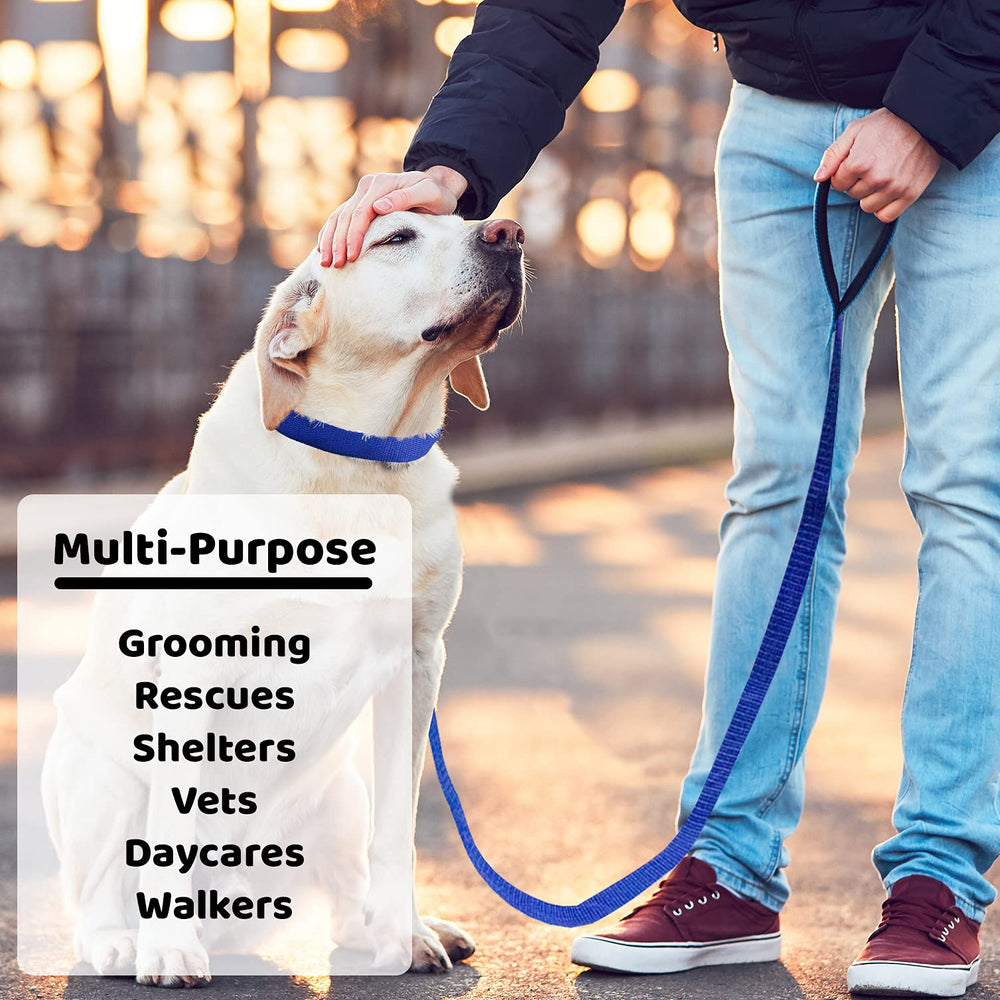 Downtown Pet Supply bulk 24-pack slip leads ideal for clinics and rescues.