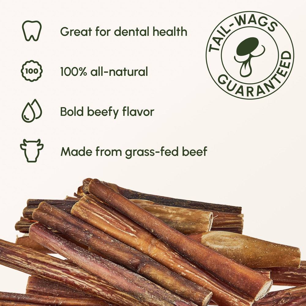 Downtown Pet Supply bully stick closeup showing natural beef texture