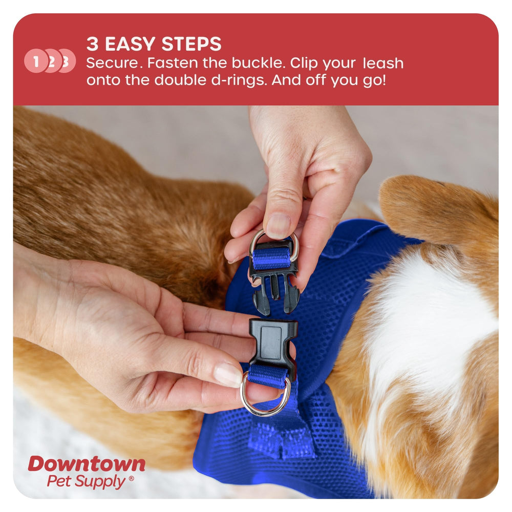 Downtown Pet Supply double D-rings provide balanced tethering for activities.