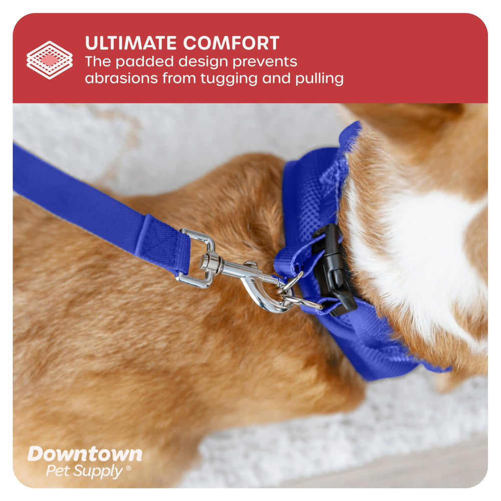 Downtown Pet Supply durable daily-wear harness withstands daily adventures.