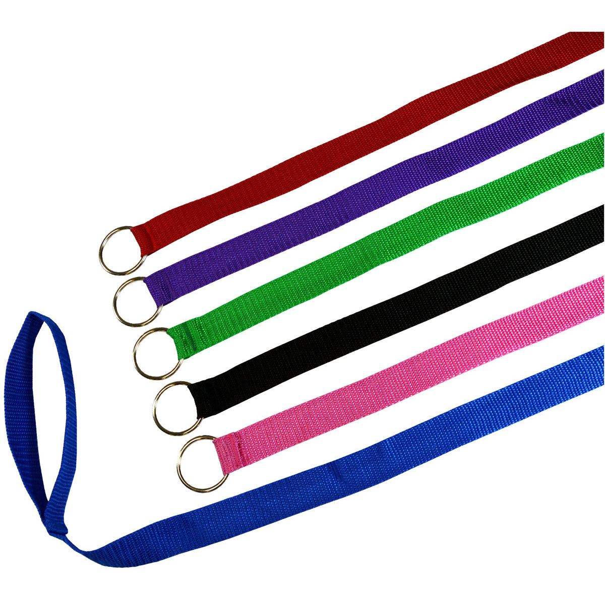 Downtown Pet Supply 6ft kennel slip lead secures dogs during cage transitions.