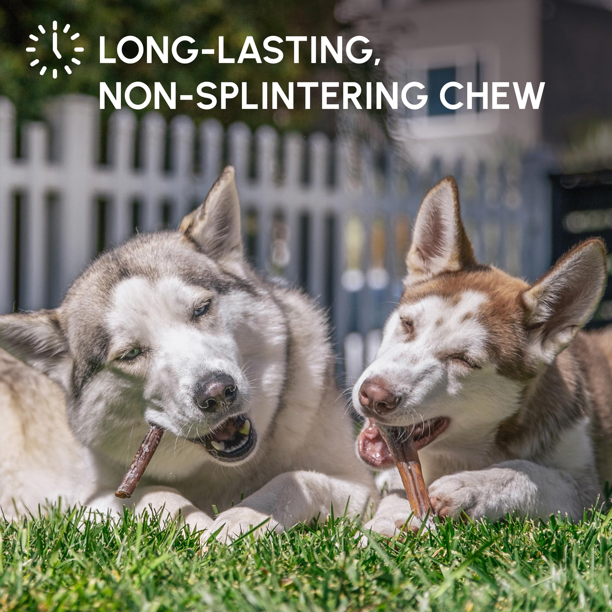 Downtown Pet Supply low odor dog chew suitable for indoor use