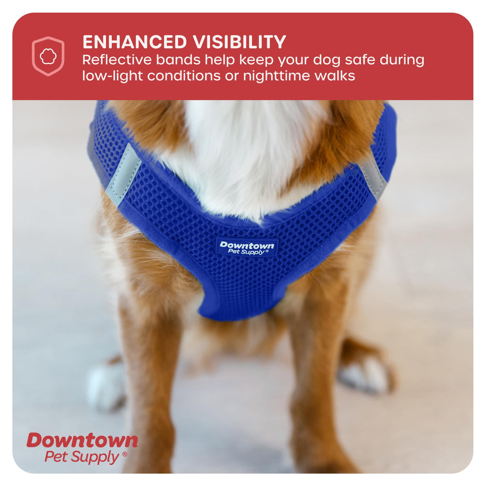 Downtown Pet Supply quick-release buckle harness enables easy on and off.