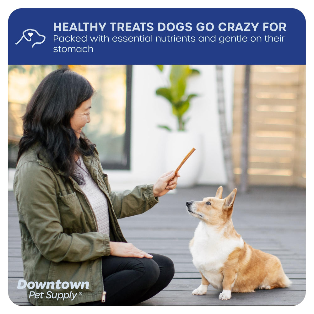 Downtown Pet Supply single-ingredient beef sticks free from artificial flavors